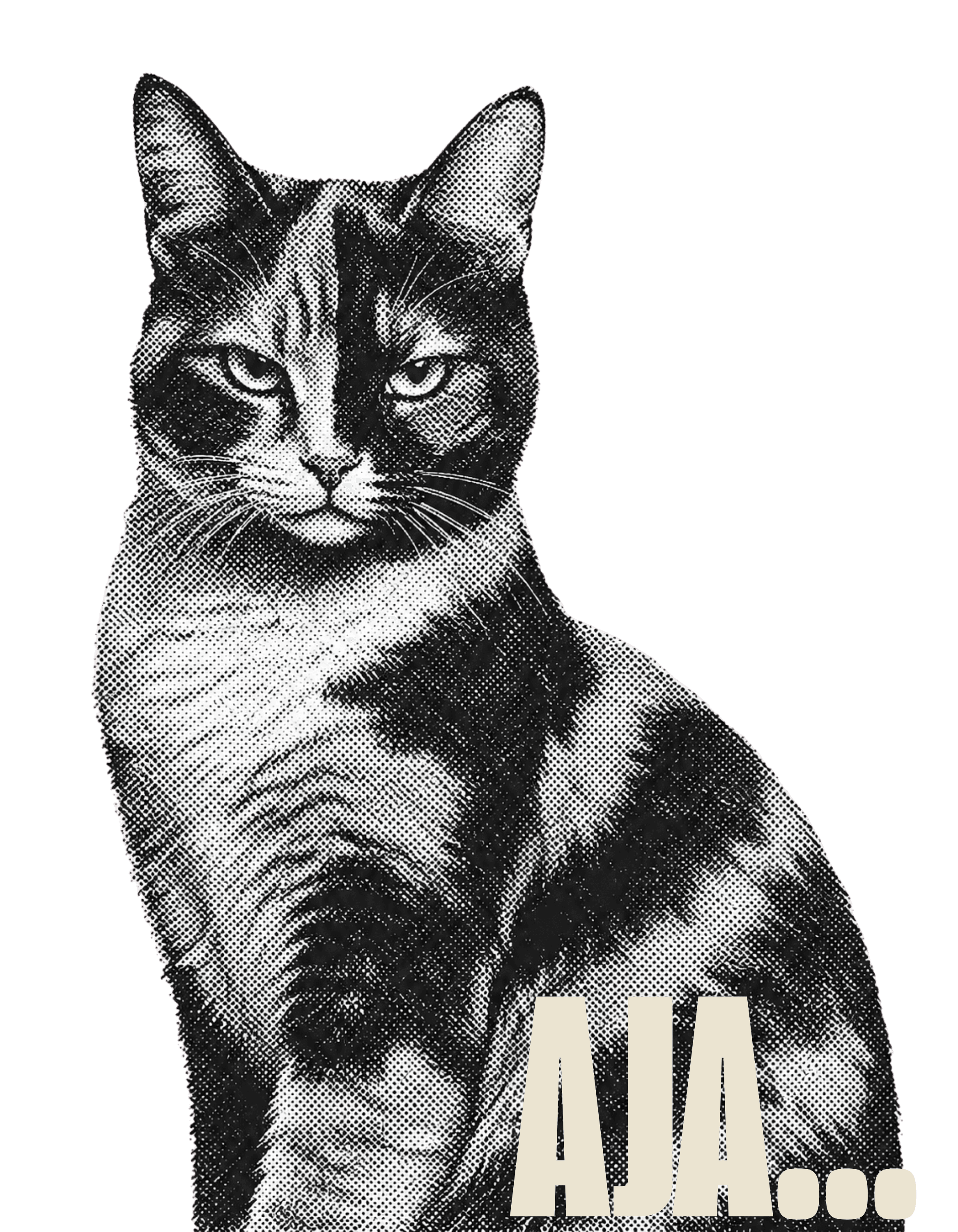 Estampado Aja Classic — Colección Rebel Cats